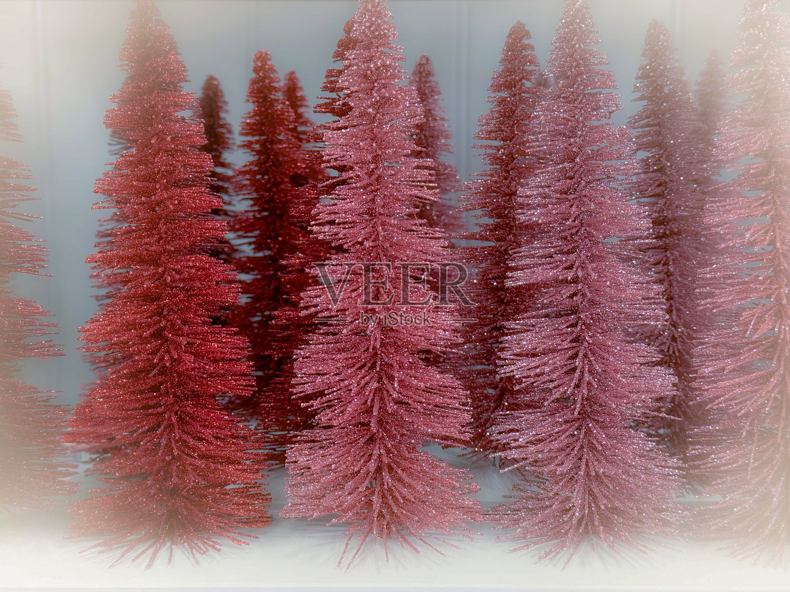 迷你圣诞树照片摄影图片