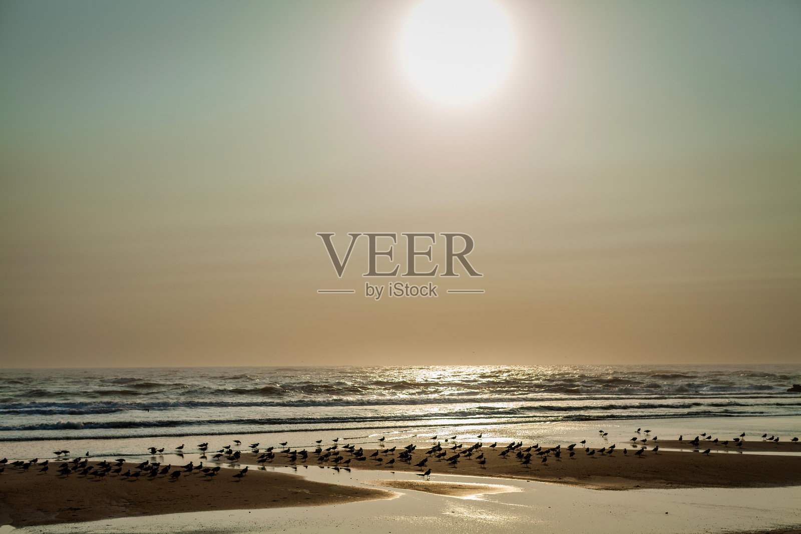 宁静海滩上的日落，阳光洒下金色光辉，照亮了海洋和沙滩。照片摄影图片