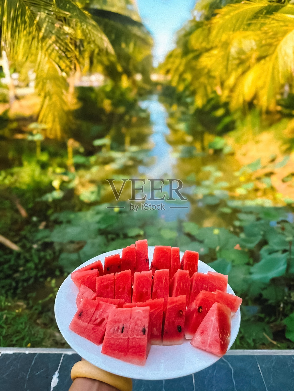 新鲜西瓜放在盘子里，背景是美丽的风景照片摄影图片