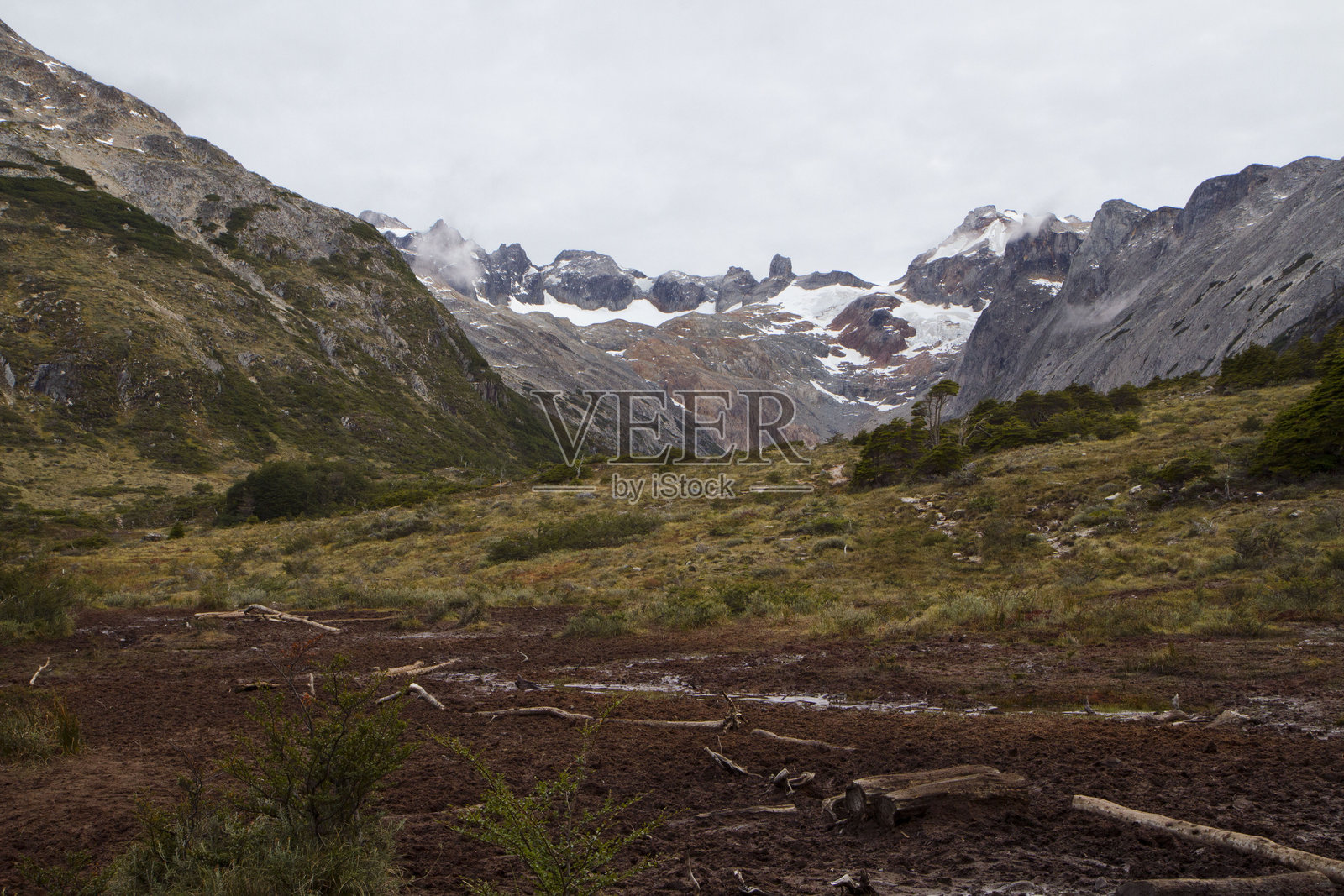 巴塔哥尼亚阿尔卑斯山脉的红色泥炭地和山脉景观照片摄影图片