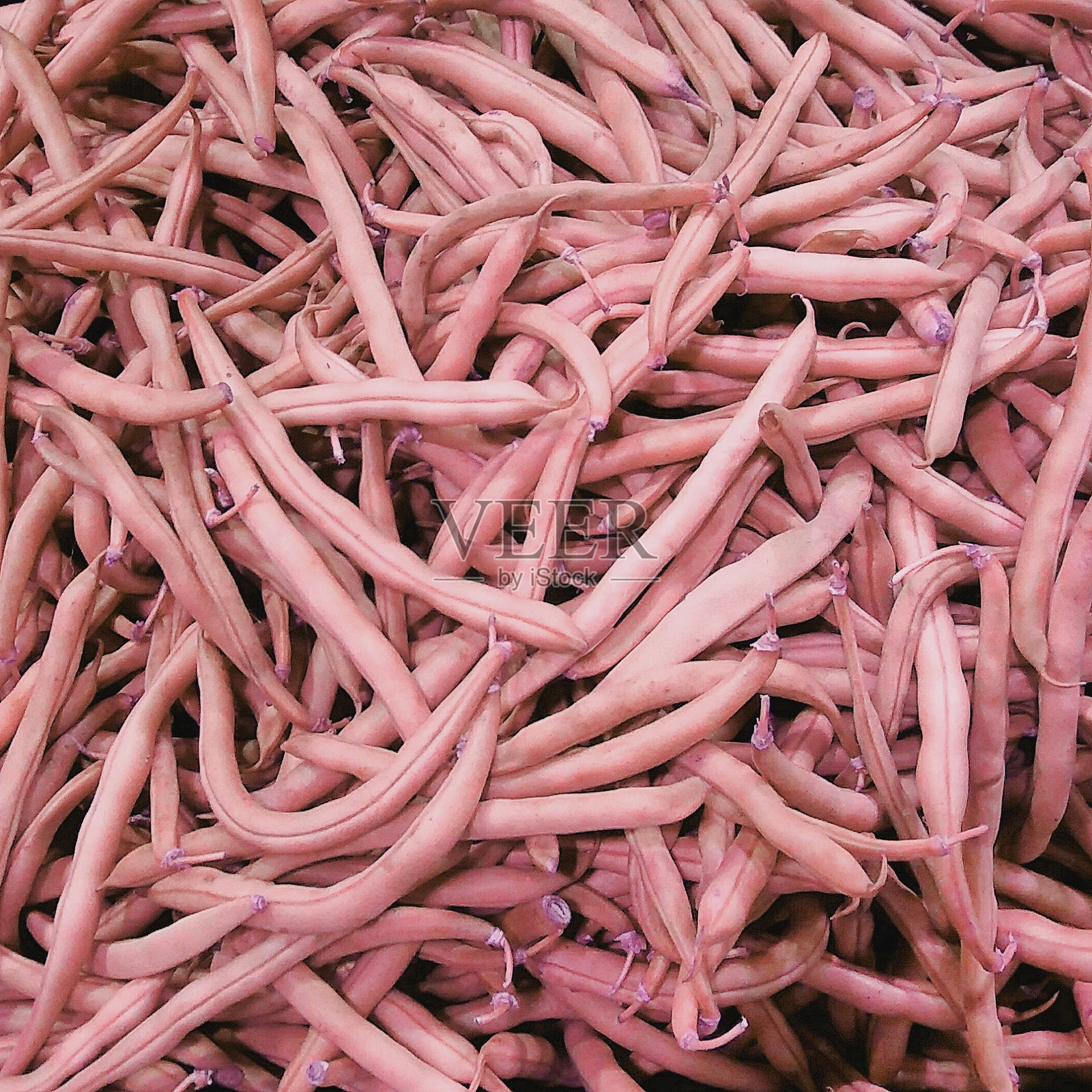 整幅画面展示了波尔洛托豆照片摄影图片