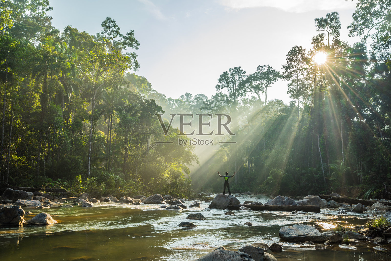 天鹅在水中游泳，背景是天空照片摄影图片