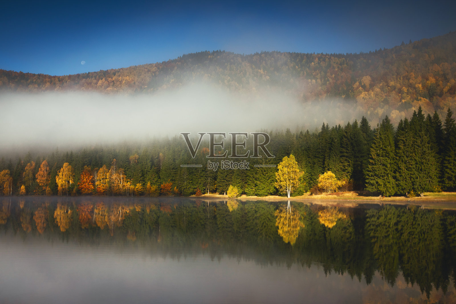树木映衬下的湖泊美景与天空照片摄影图片