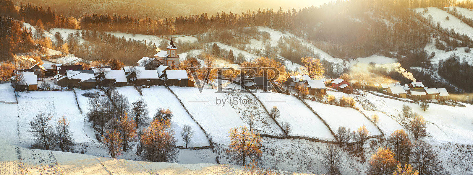 冬季山间的冰冻树木照片摄影图片