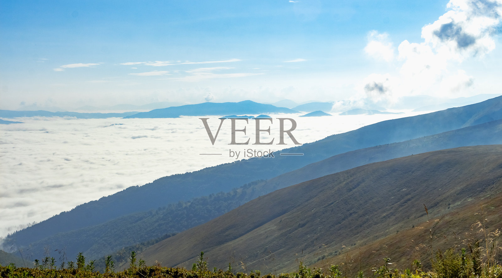 博尔扎瓦照片摄影图片