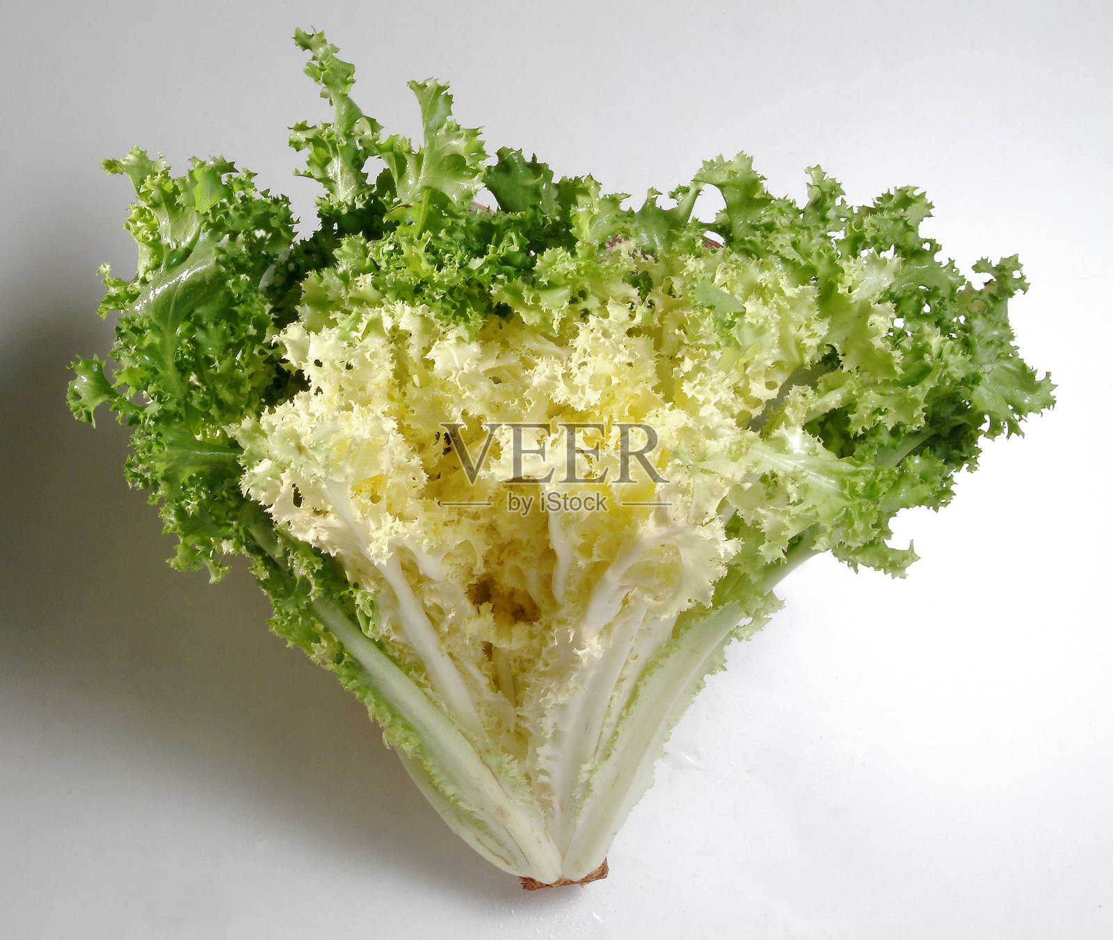 静物画：一颗绿色生菜，背景为中性色调照片摄影图片