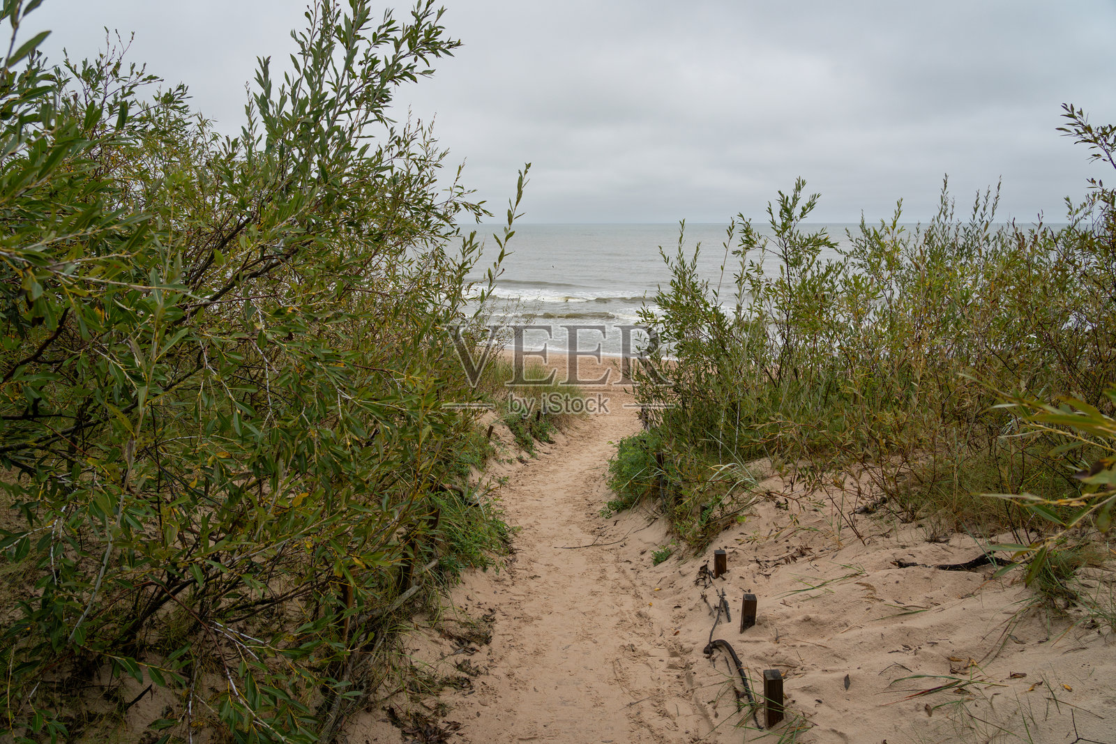 森林小道照片摄影图片