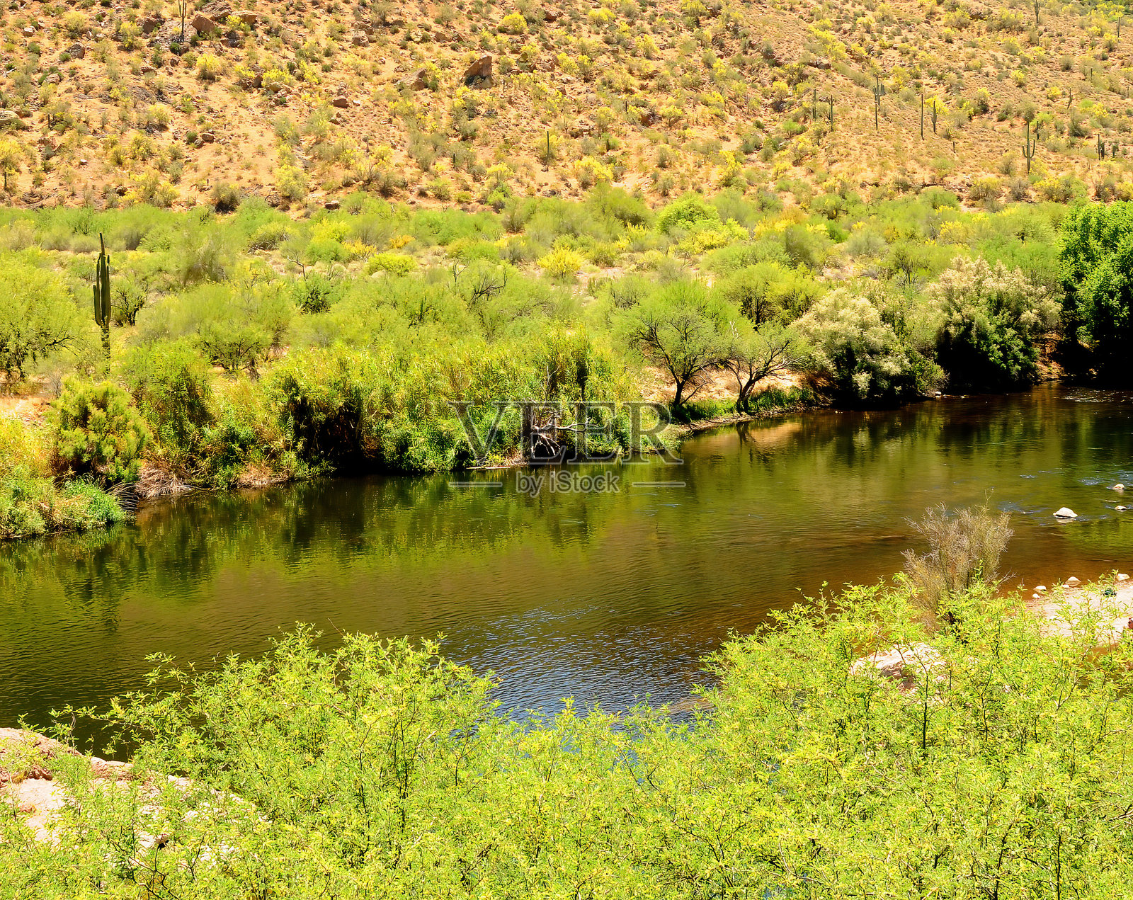 盐河休闲区，亚利桑那州照片摄影图片