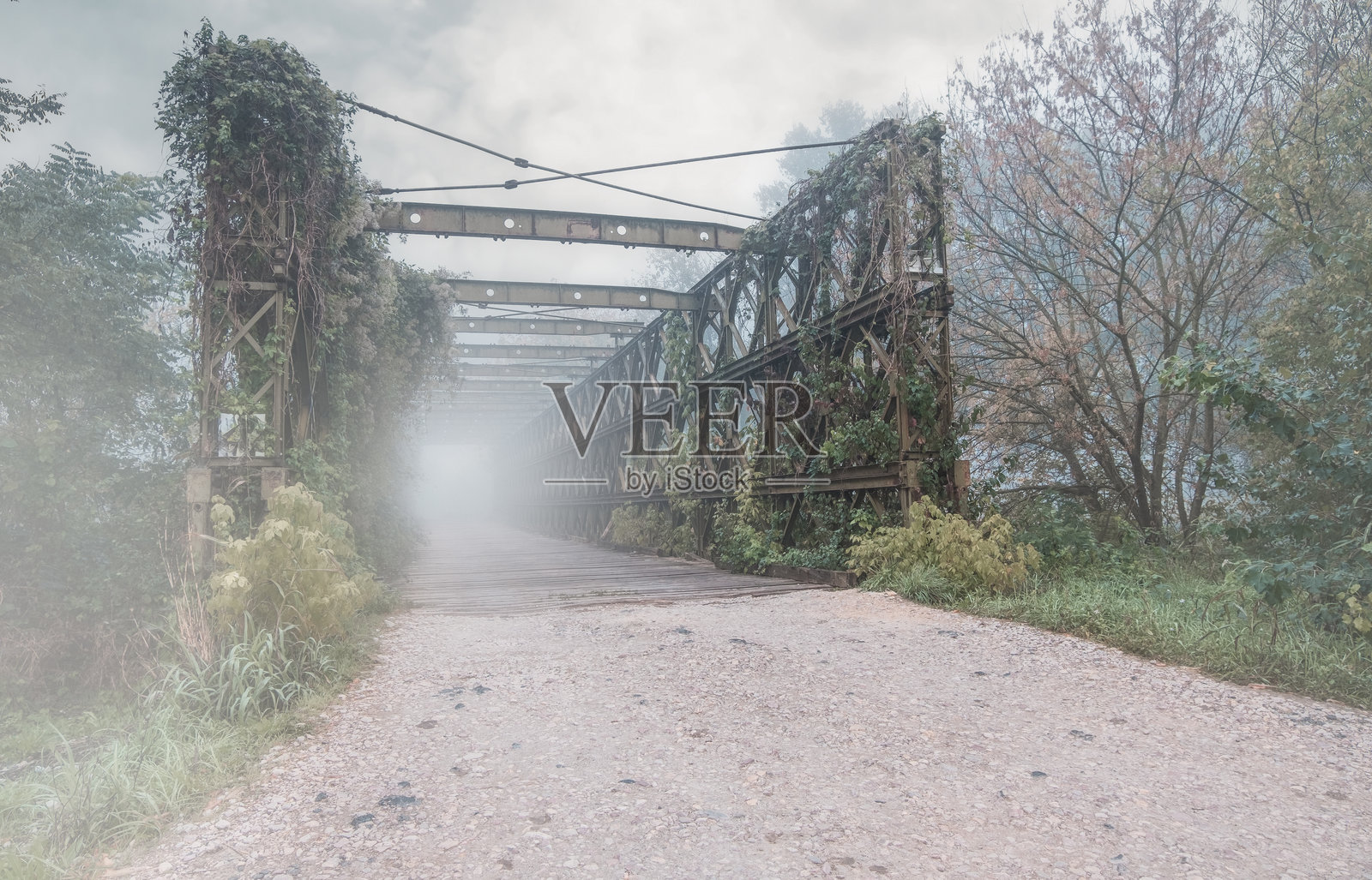 雾中的道路，侧面视角的雾霭小径，古老的桥上长满植物或植被。复制粘贴的人，空白空间。十一月寒冷早晨的通道。神秘的背景适合人物。照片摄影图片