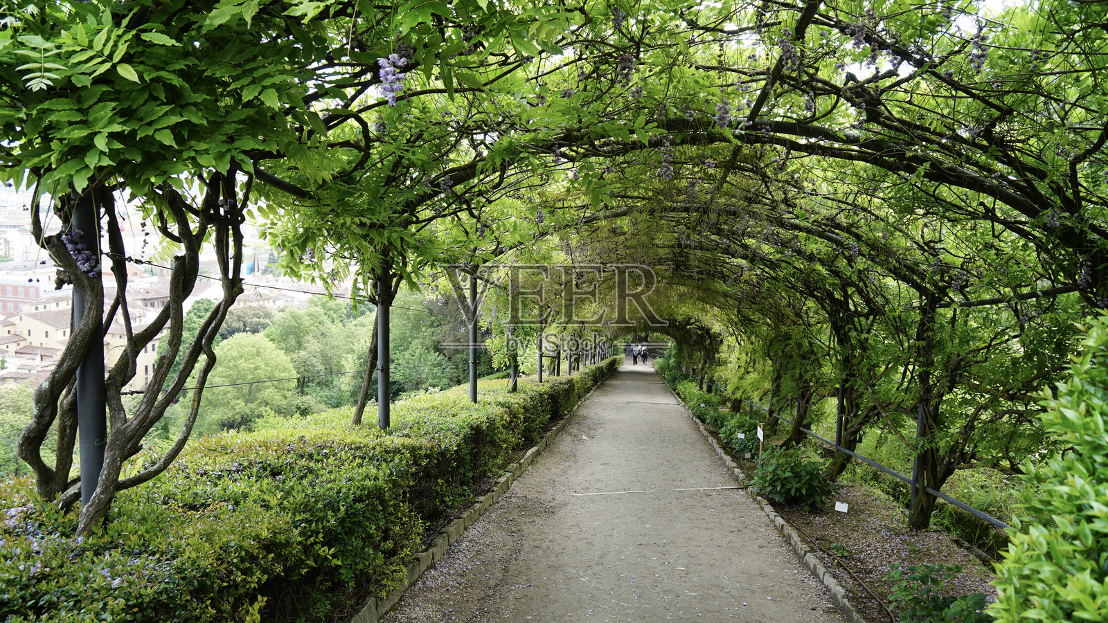 意大利佛罗伦萨。巴尔迪尼花园的景观。照片摄影图片