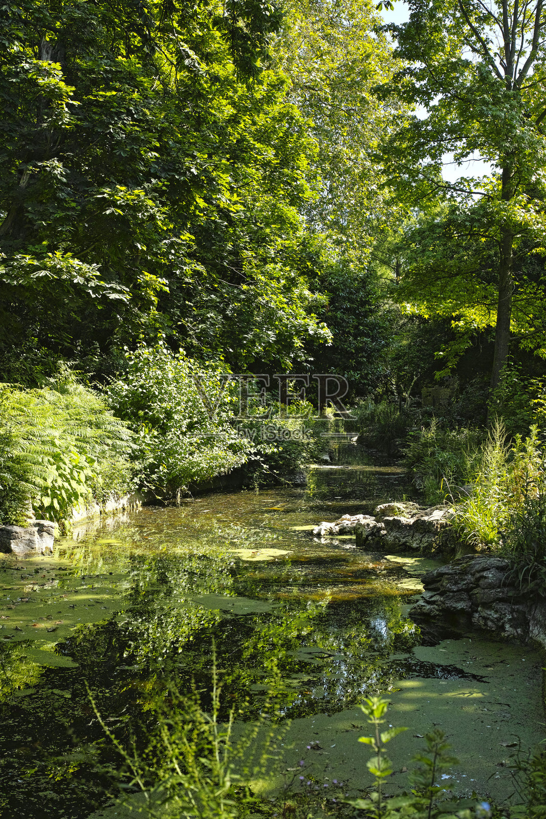 伊斯灵顿的新河小径照片摄影图片