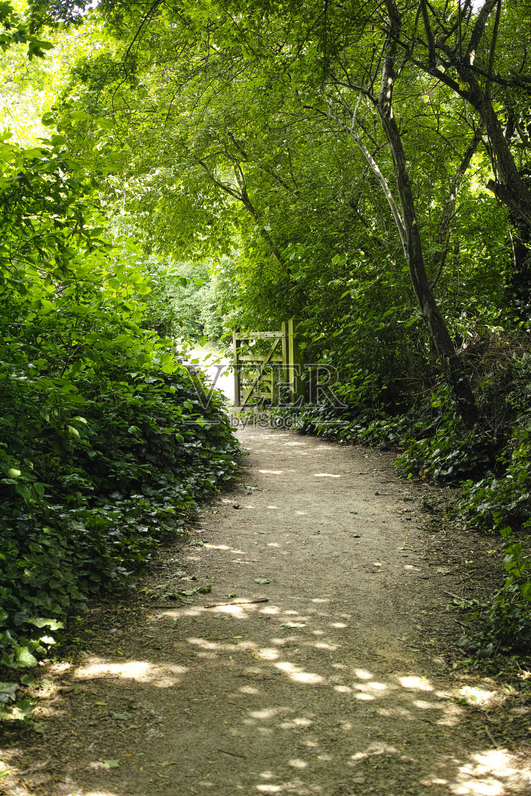 伍贝里湿地的小径照片摄影图片