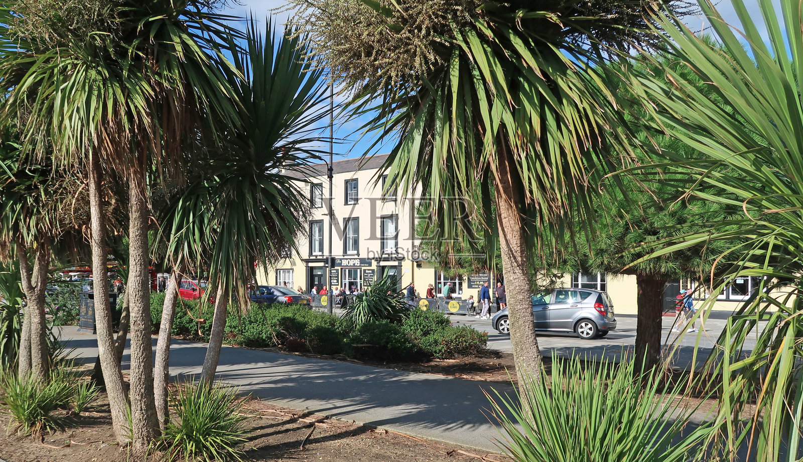 正式的亚热带植物种植；海滨花园。南端，埃塞克斯照片摄影图片