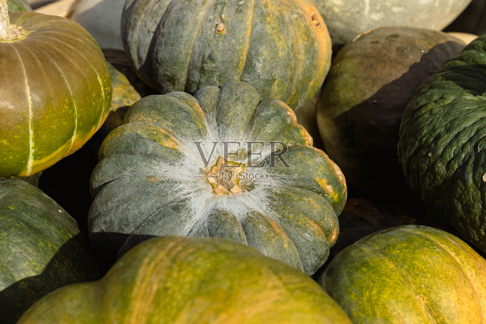 南瓜节照片摄影图片