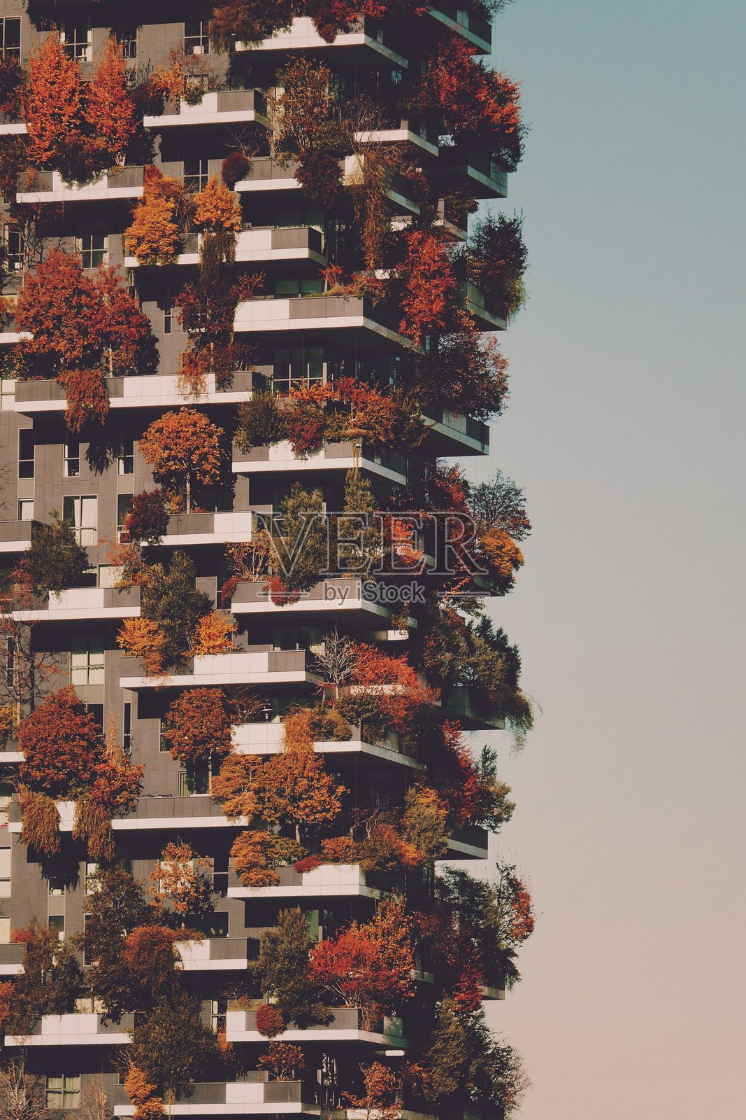 秋季时分，阳台上种满树木的摩天大楼照片摄影图片