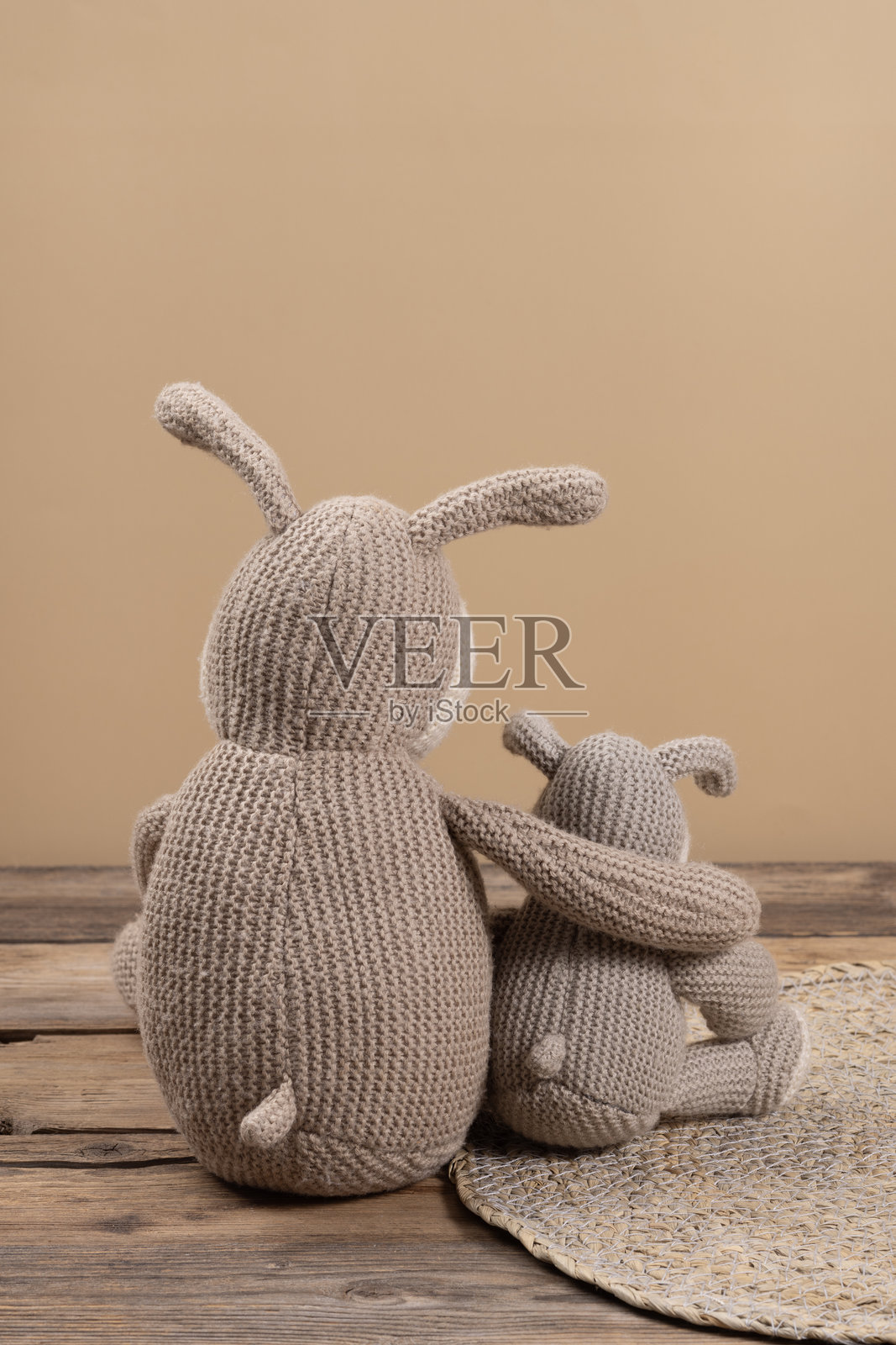 两个狗狗的软玩具依偎坐在桌子上，背面视角，体现不同年龄孩子之间的友谊概念。照片摄影图片