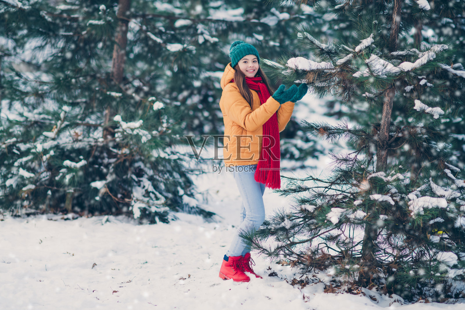 全身照的迷人快乐的青春女孩，穿着温暖的服装，在户外森林中触摸云杉。照片摄影图片