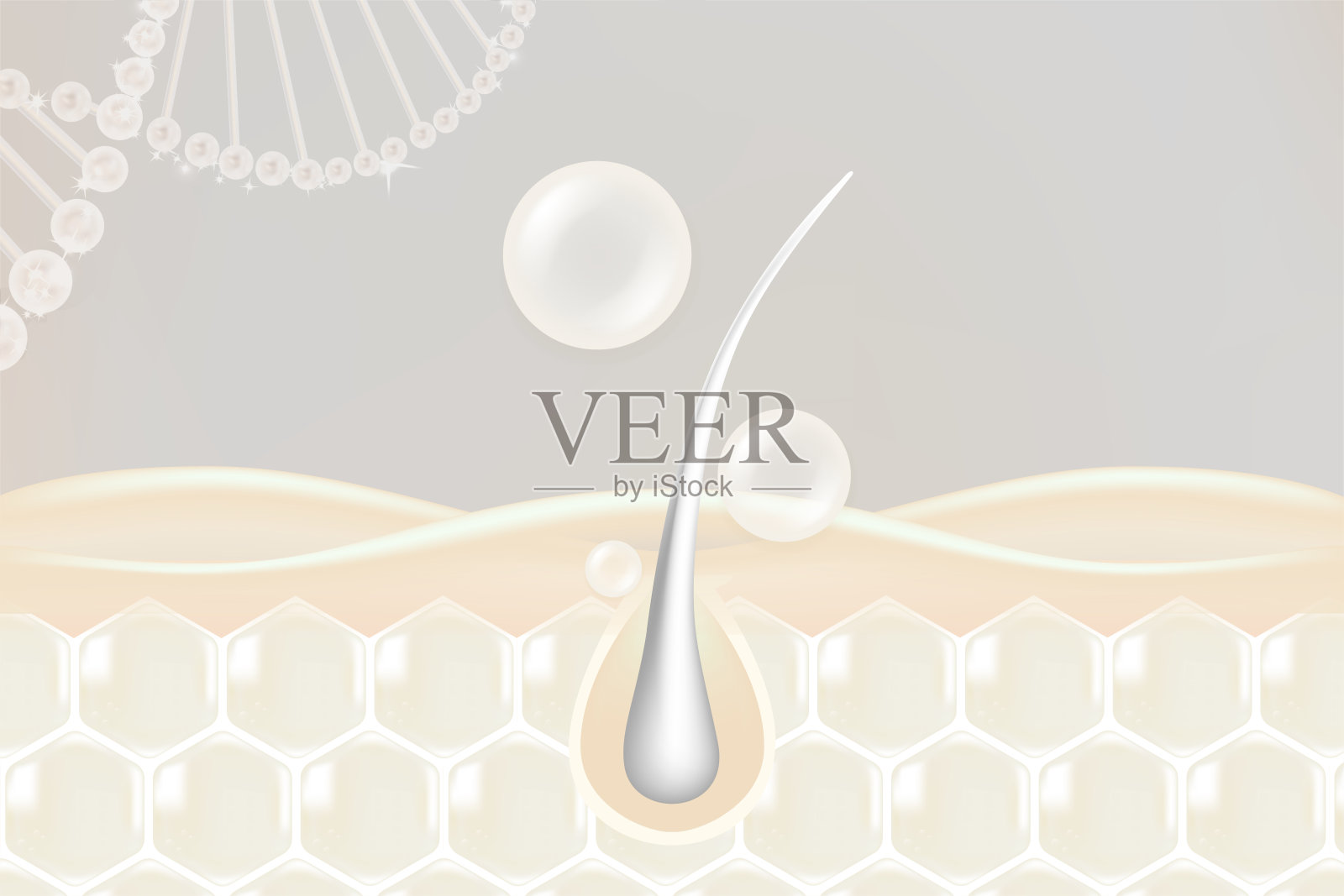 透明质酸和烟酰胺灰发与肌肤解决方案广告，白色胶原蛋白精华滴入皮肤细胞，化妆品广告背景，随时可用，插图矢量。插画图片素材