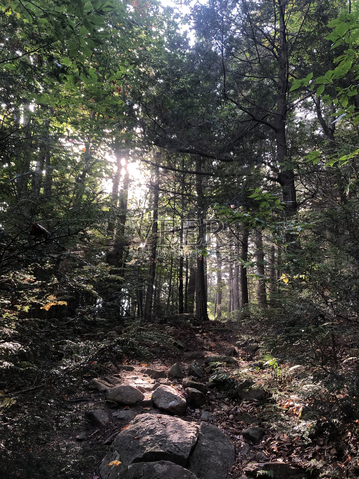 九月的威滕堡山，位于纽约州的卡茨基尔山脉。照片摄影图片