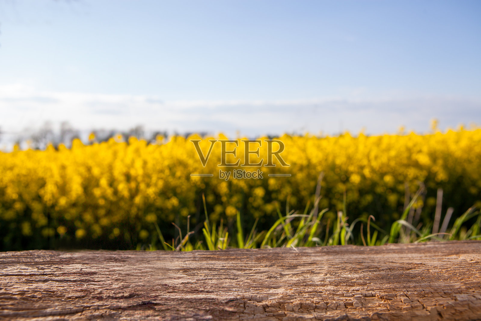 木质表面与背景中的黄色花田照片摄影图片
