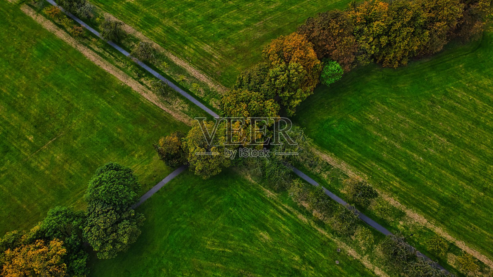 蜿蜒小径的绿色风景鸟瞰图照片摄影图片