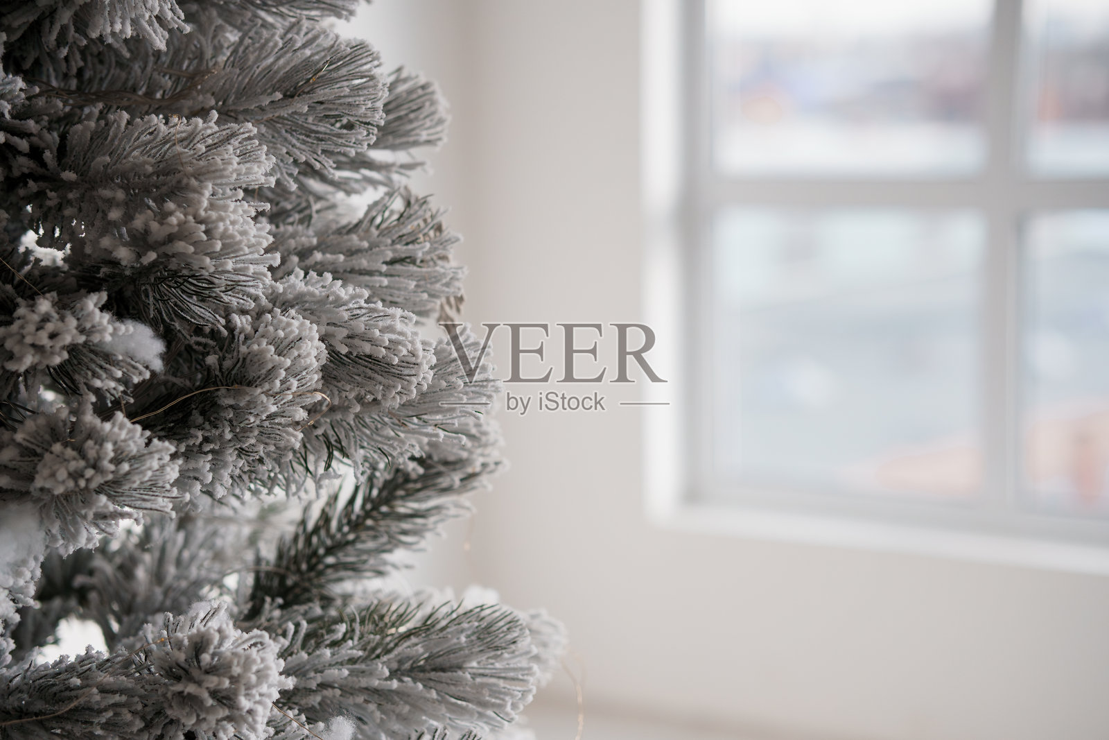 霜冻的圣诞树与柔和模糊的窗户背景照片摄影图片