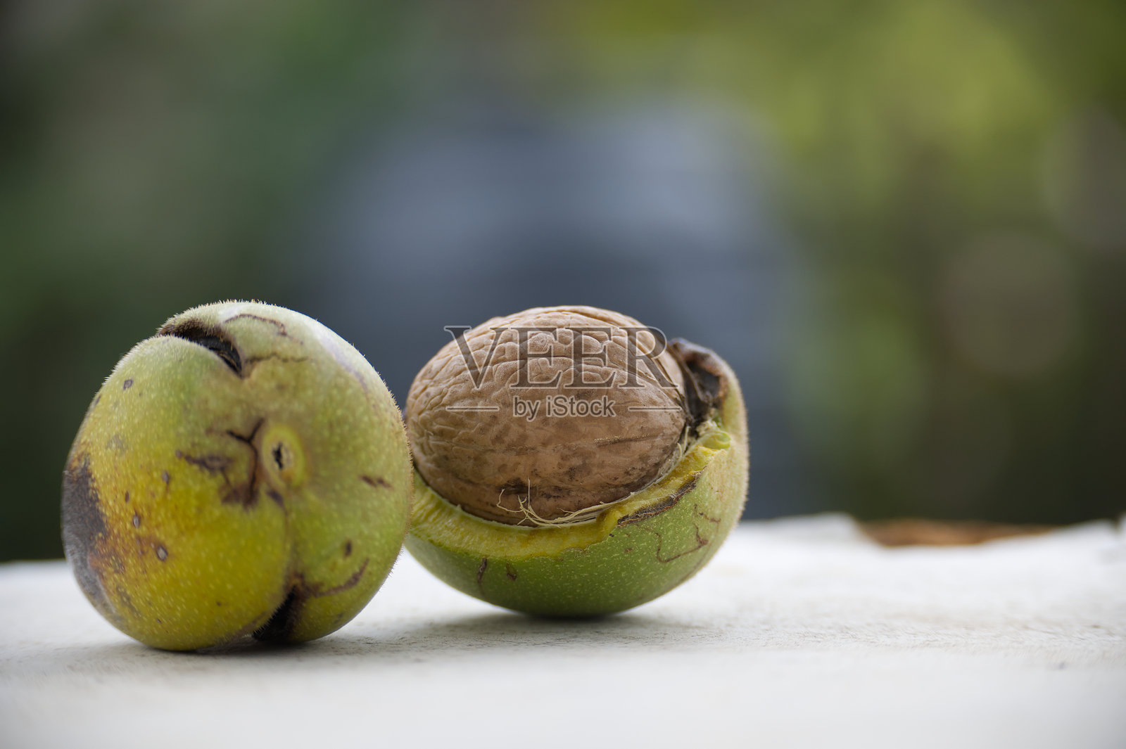 新鲜核桃和种子的特写，置于自然光下的纹理表面，体现秋季丰收的概念照片摄影图片