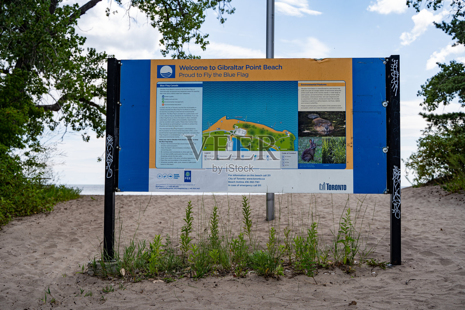 多伦多岛上的直布罗陀角海滩标志。照片摄影图片