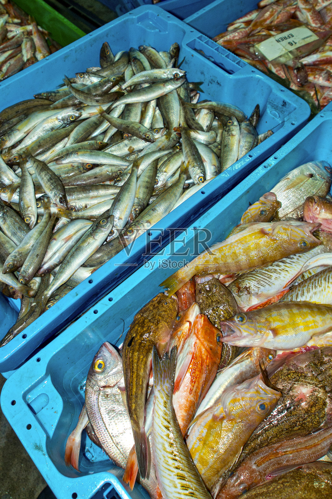 鱼篮，阿吉拉斯，西班牙照片摄影图片