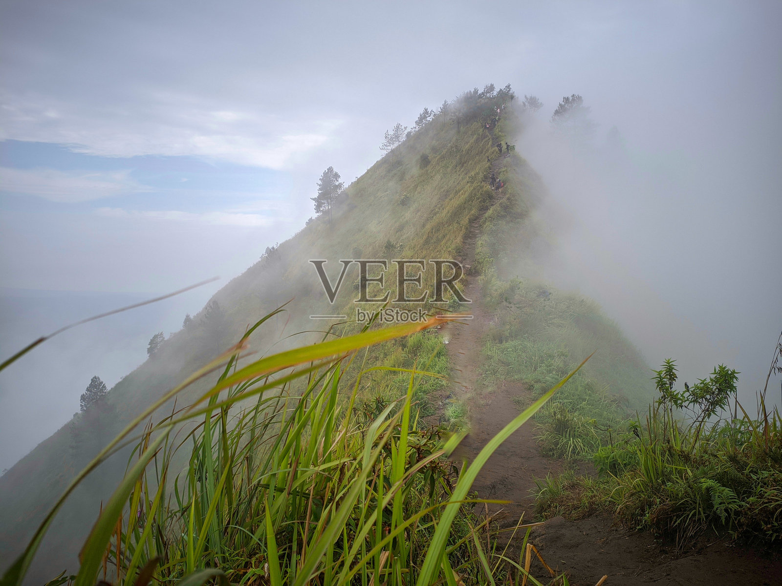 安东山照片摄影图片