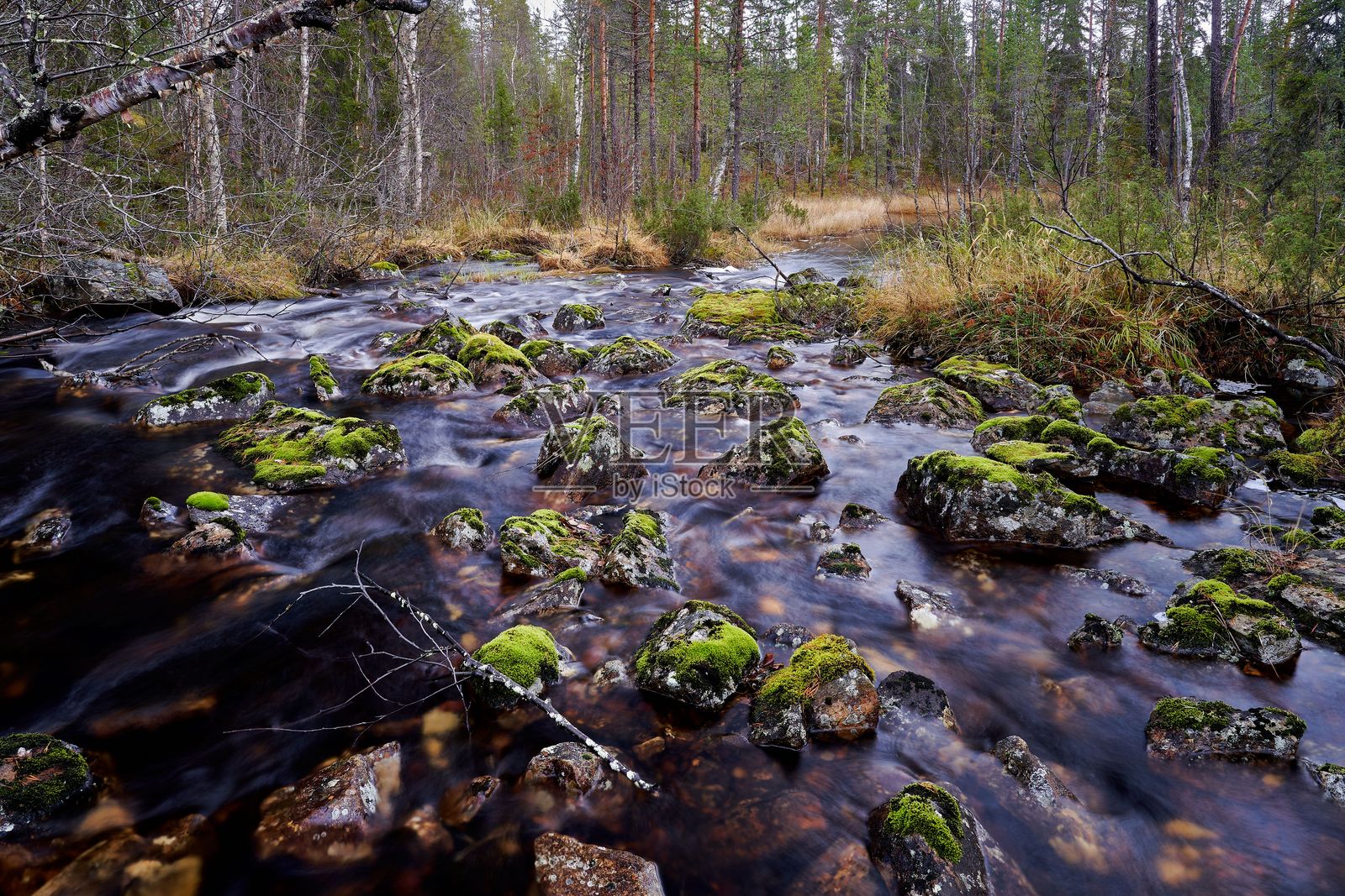 宁静的森林溪流与苔藓覆盖的岩石照片摄影图片