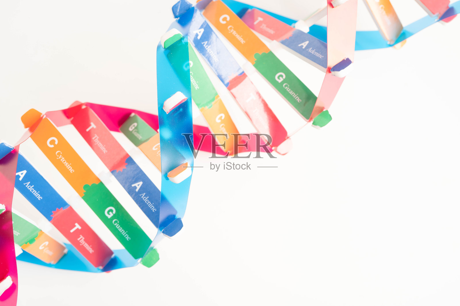 孤立在白色背景上的DNA分子螺旋结构模型，染色体和基因化学科学生物学。照片摄影图片