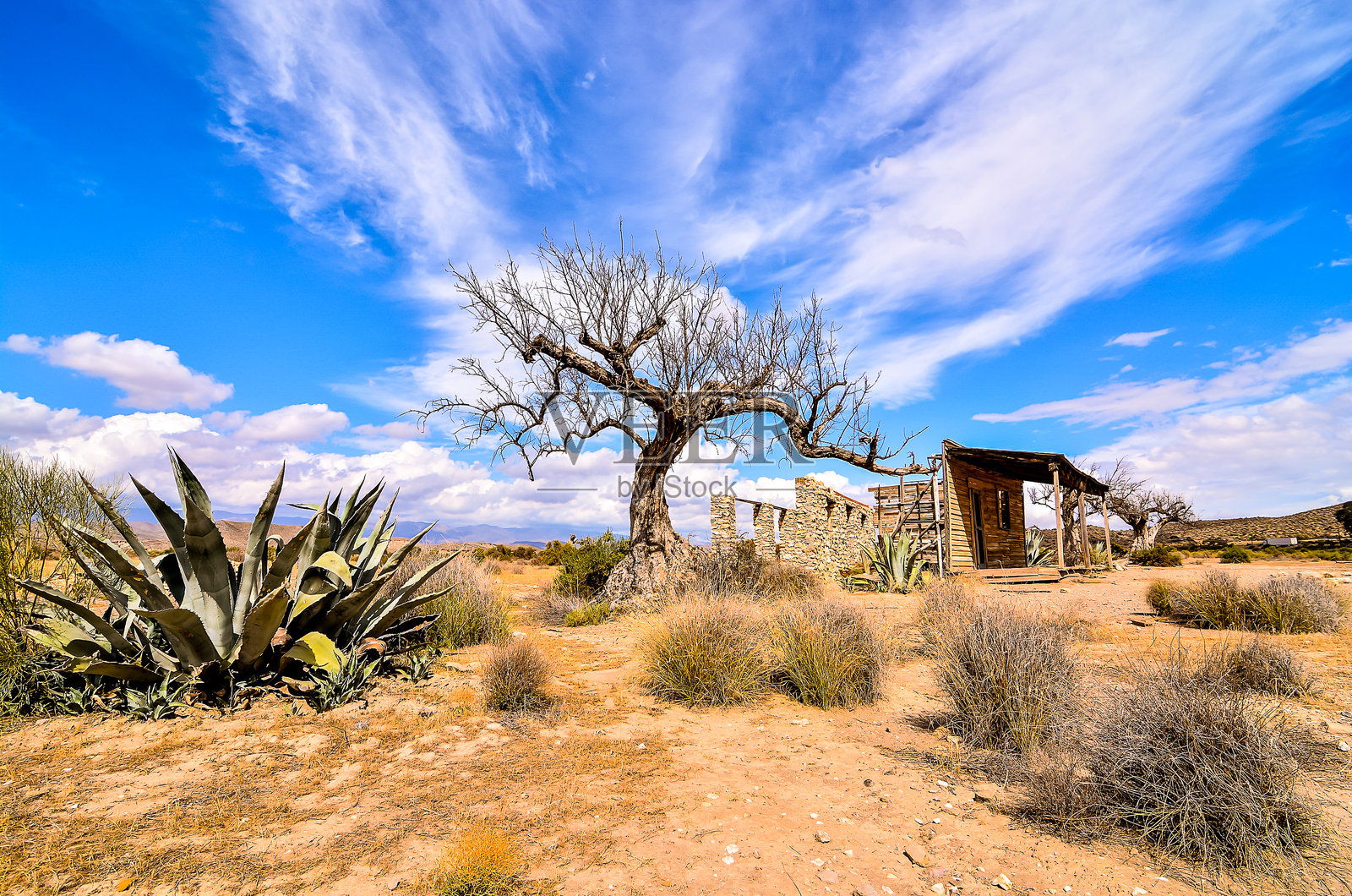 沙漠场景，树木和小屋照片摄影图片