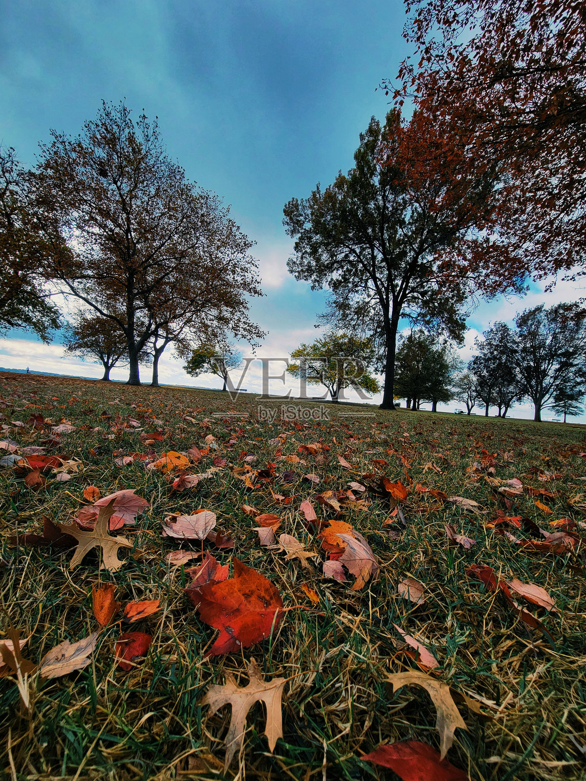 蓝天照片摄影图片