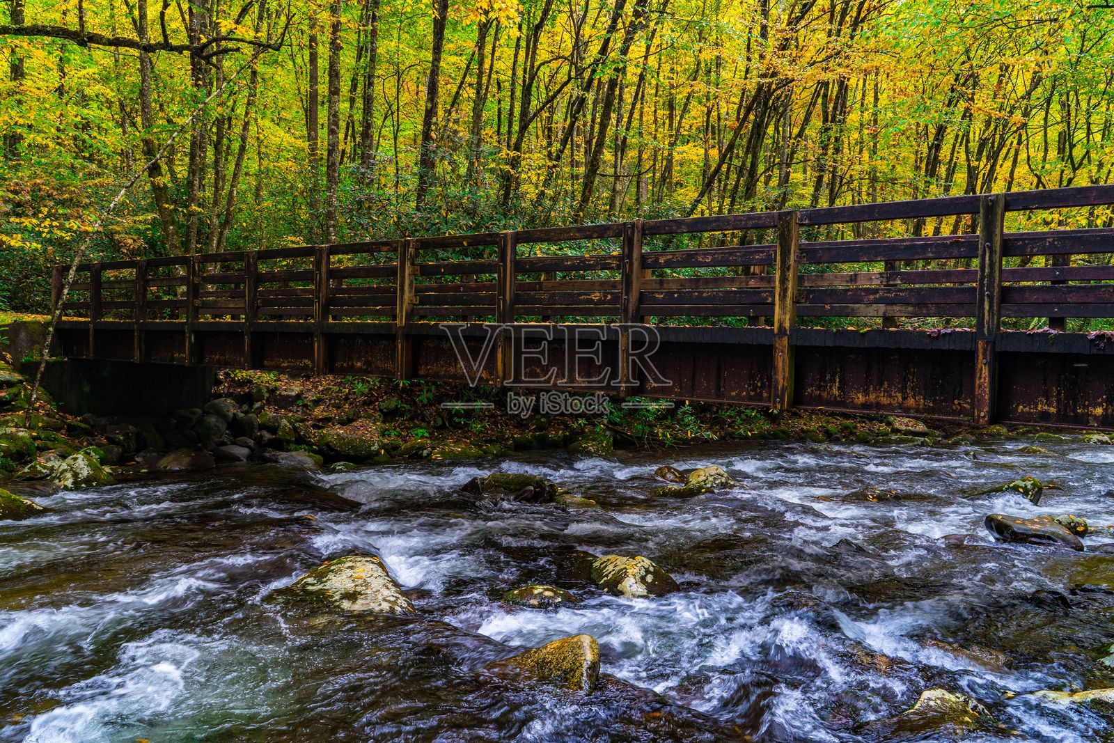 秋季森林中木桥横跨溪流照片摄影图片