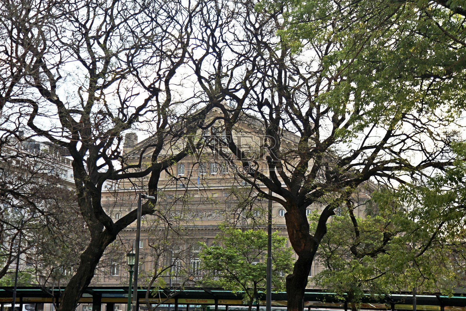 街道旁的树木，背景是历史悠久的科隆剧院建筑照片摄影图片