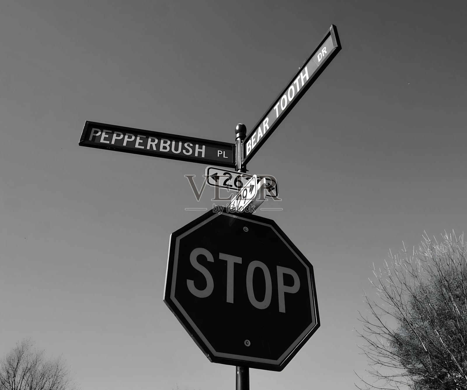 停车标志照片摄影图片