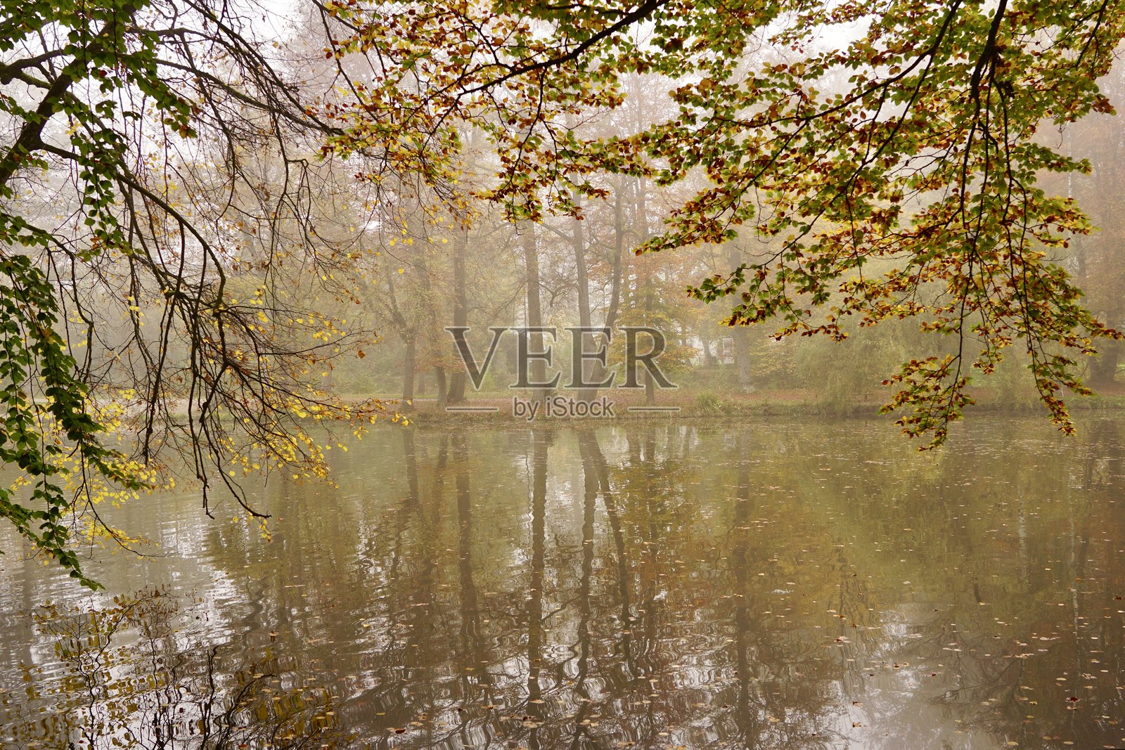 秋天的早晨雾气。池塘上的雾。德国的秋天。秋天的色彩。照片摄影图片