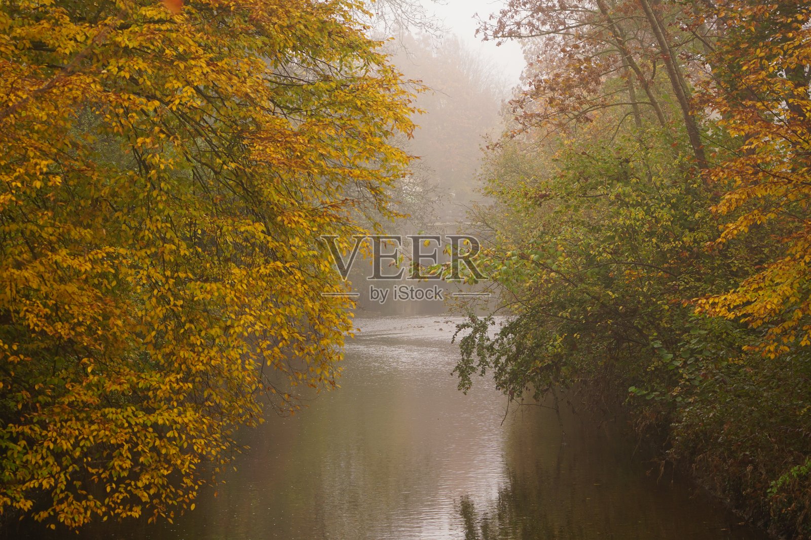 秋天的早晨雾气。池塘上的雾。德国的秋天。秋天的色彩。照片摄影图片