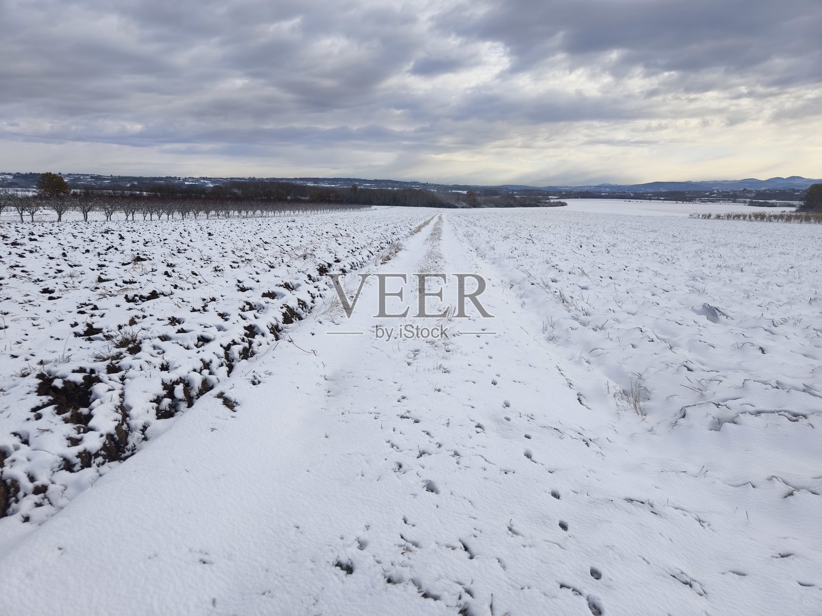 冬季的农业田野照片摄影图片