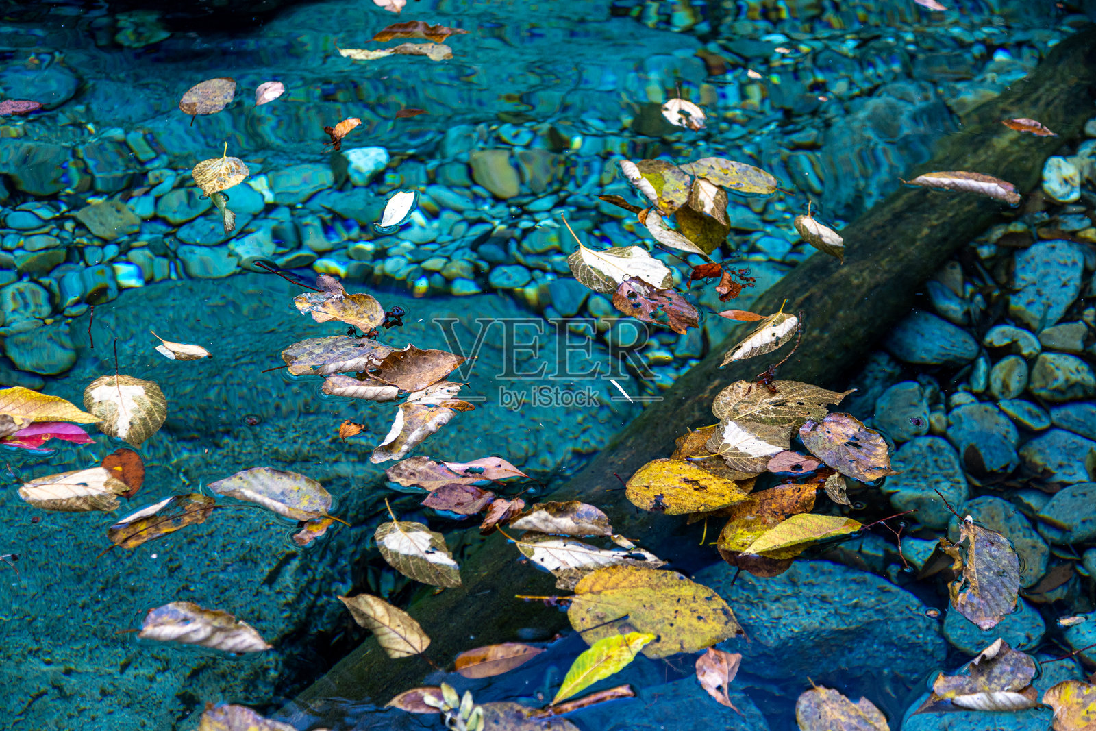 晚秋时节，红叶飘落在清澈的水面上，庐山，中国照片摄影图片