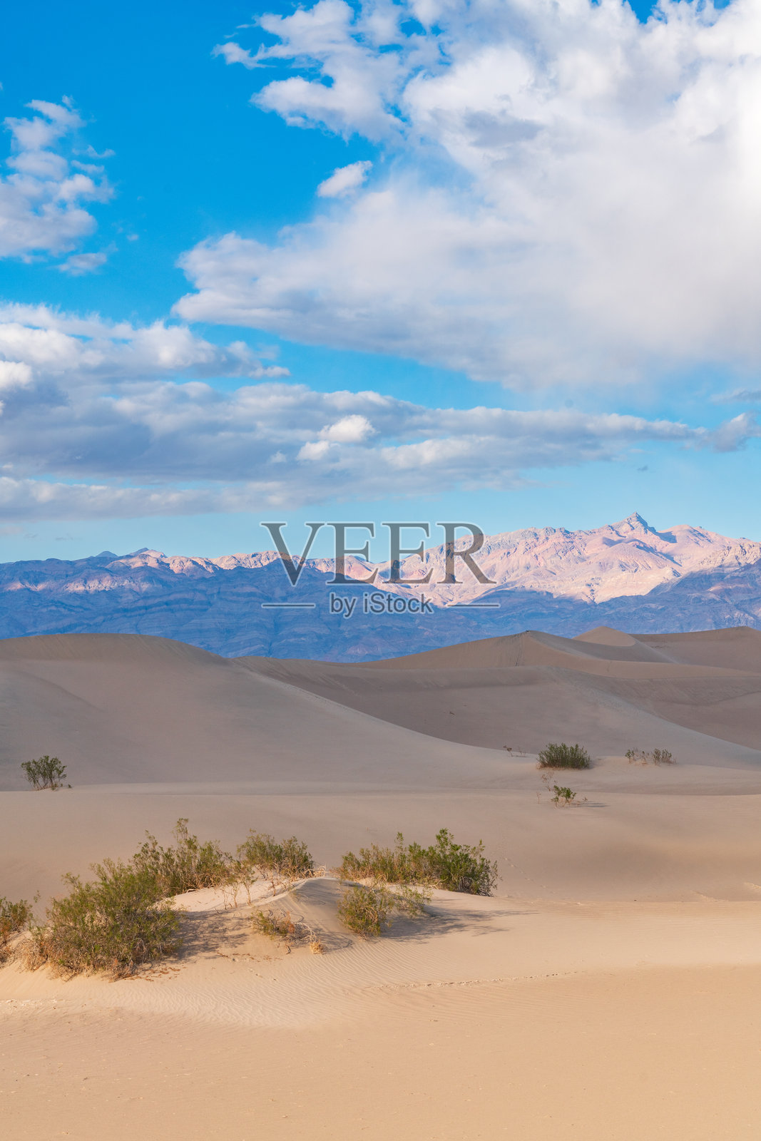 死亡谷国家公园梅斯基特平原沙丘照片摄影图片