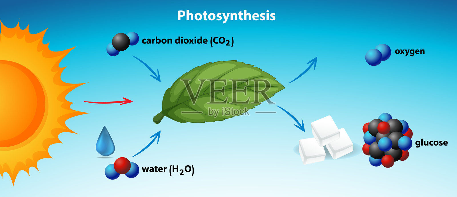 展示光合作用的图示，包括太阳、叶子和分子插画图片素材