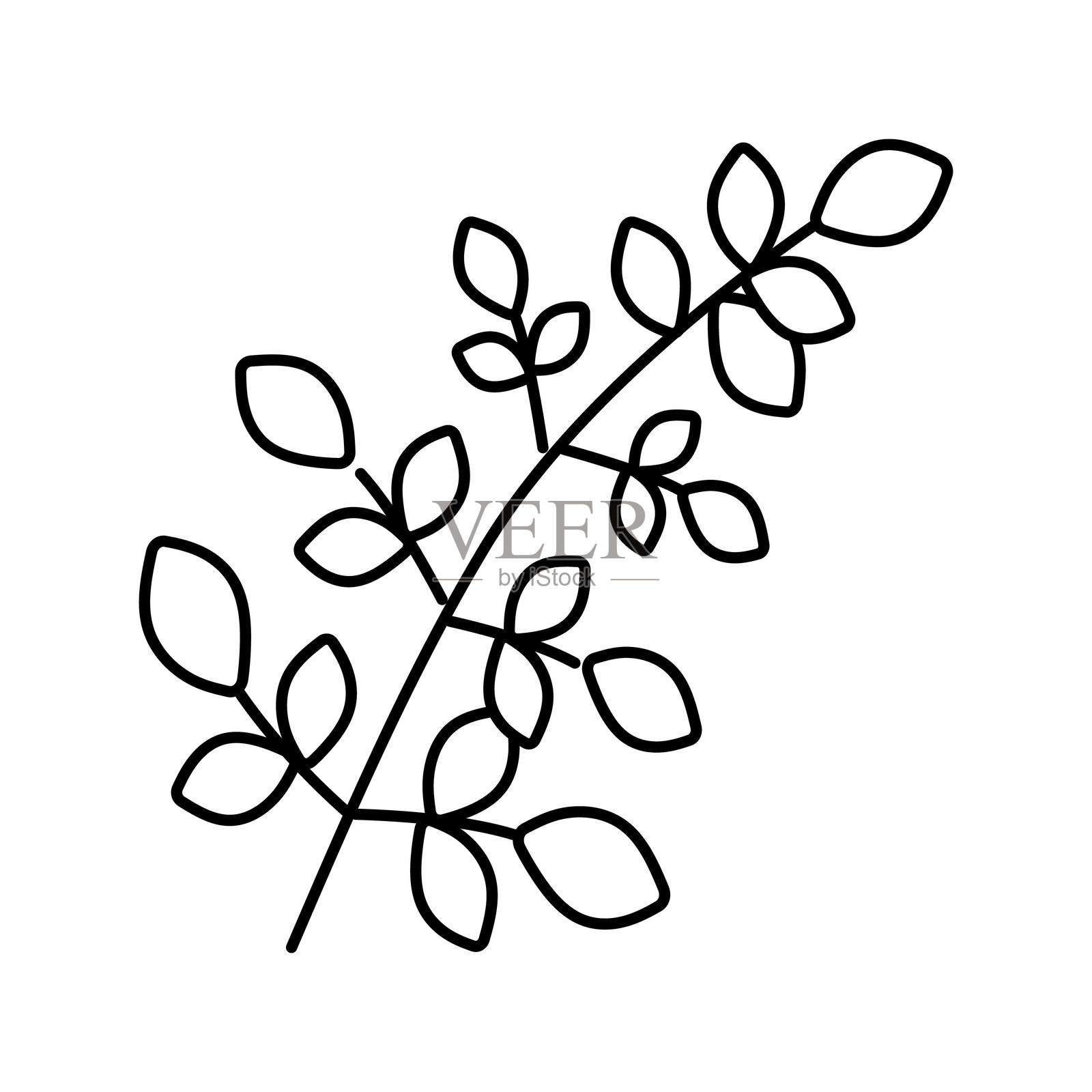 辣木叶阿育吠陀草药线条图标插图插画图片素材