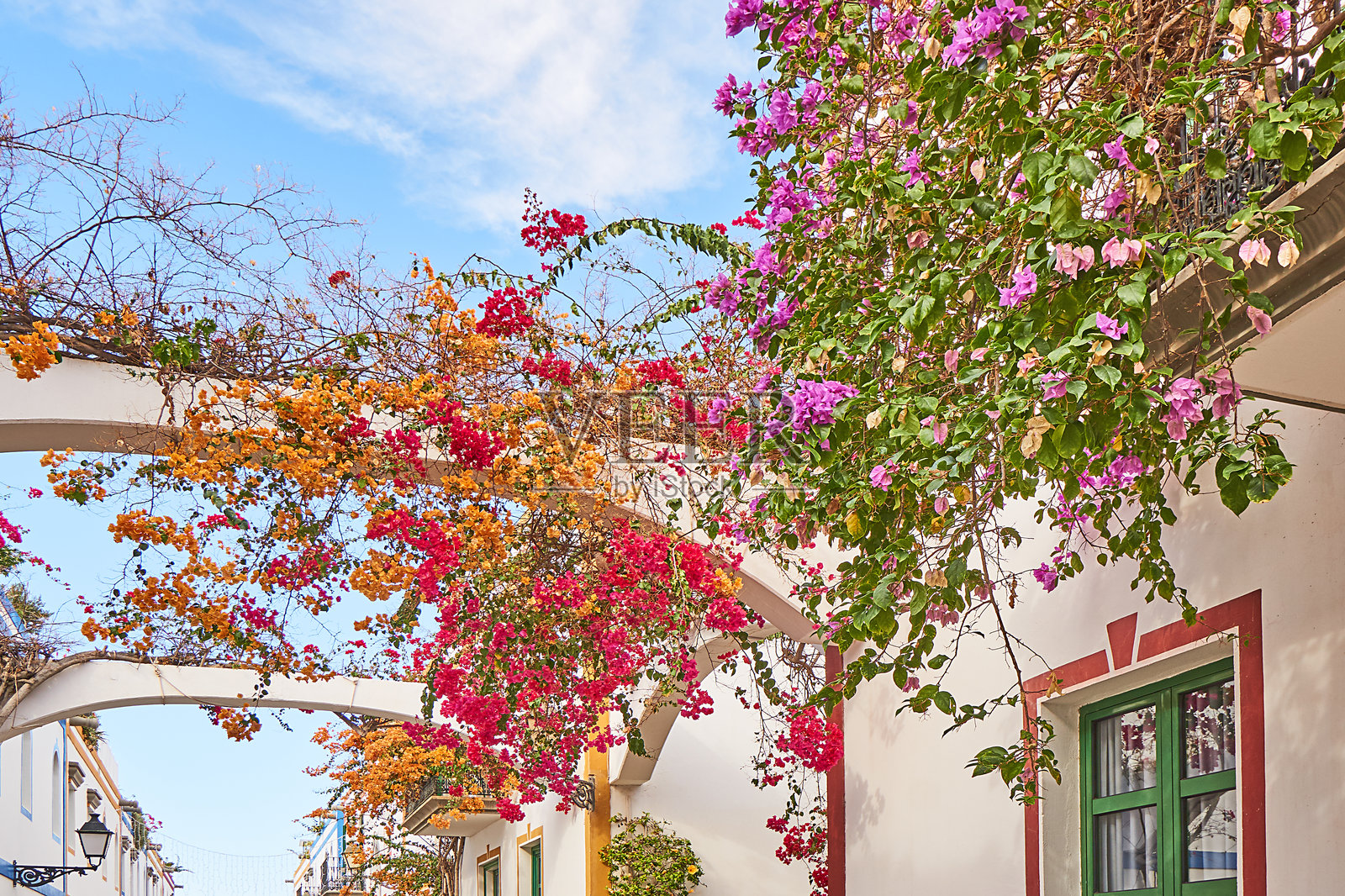 大加那利岛照片摄影图片