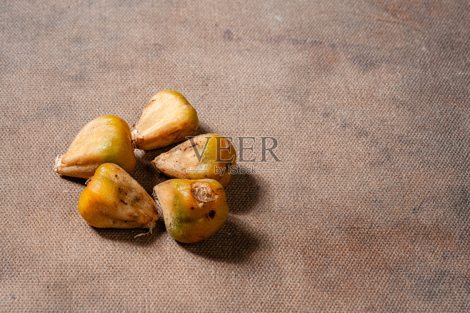 Cikala酸或Kecombrang照片摄影图片