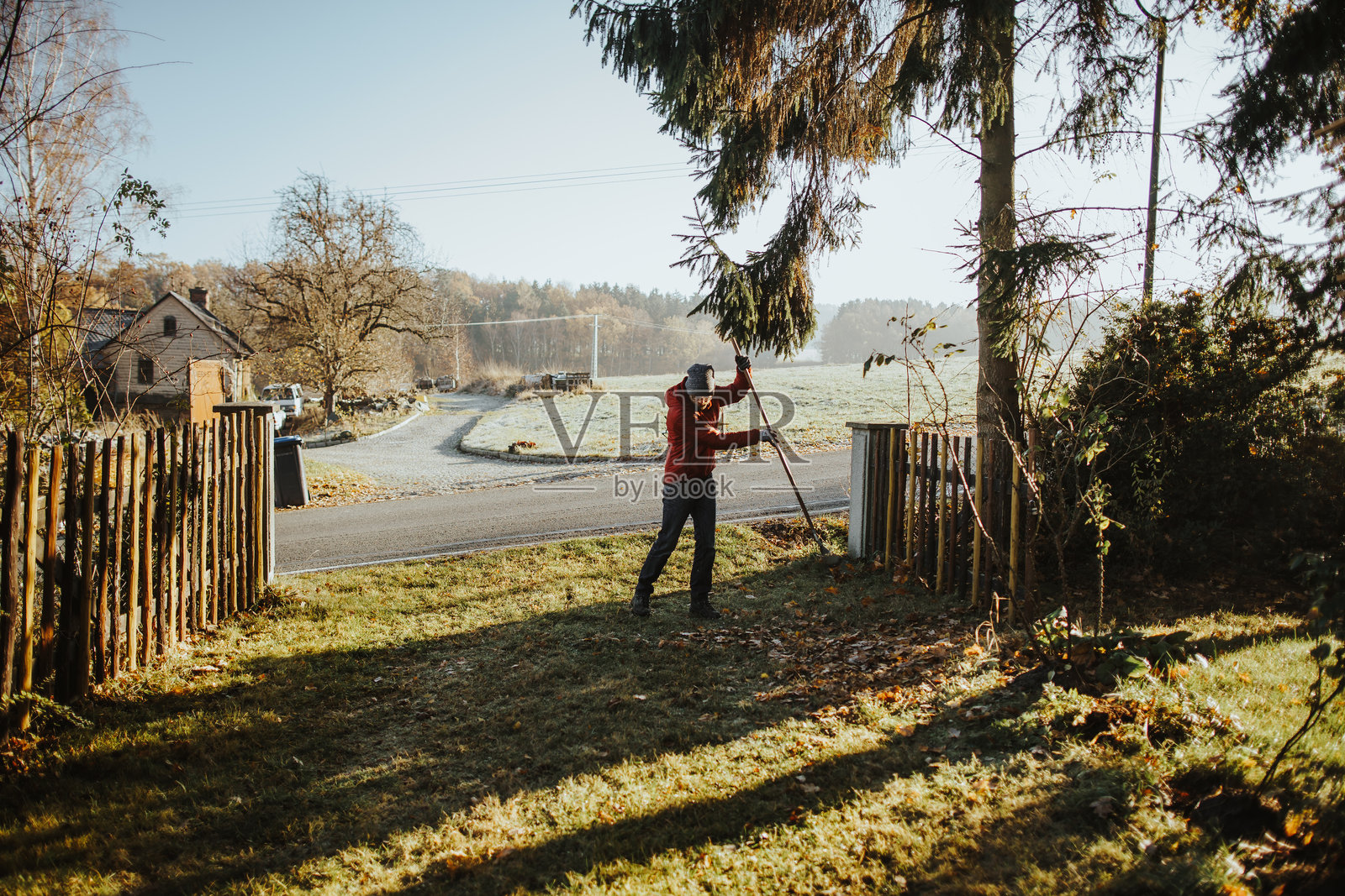 男人在院子里耙草的全身照照片摄影图片