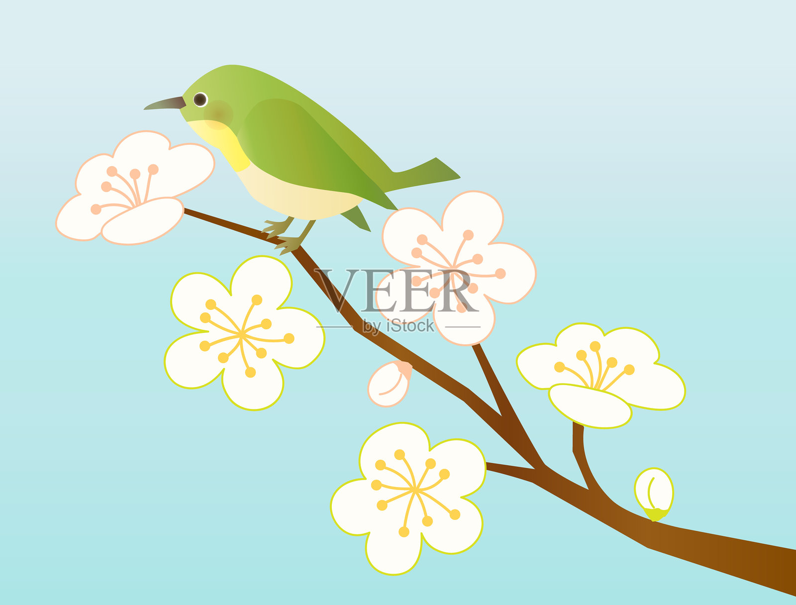 白色梅花与小鸟的插图插画图片素材