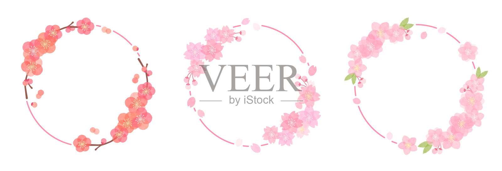 花卉圆形框架插画图片素材