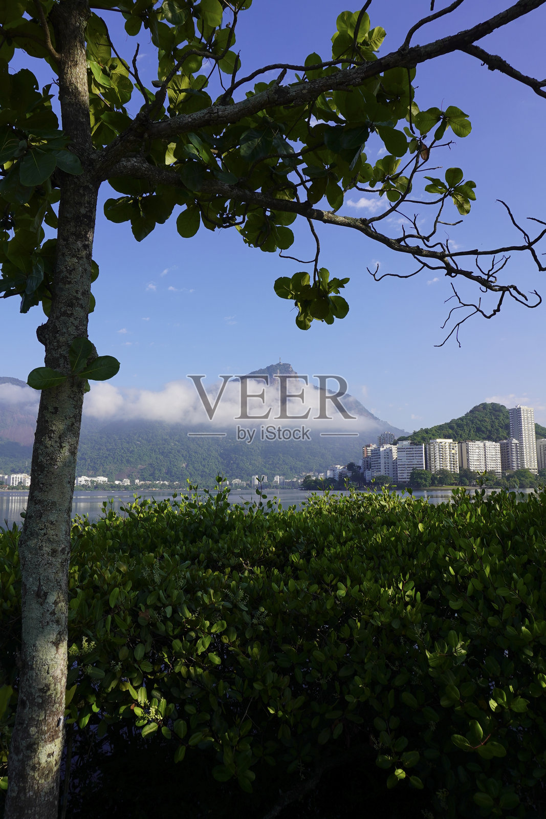 罗德里戈·德·弗雷塔斯湖 - 里约热内卢照片摄影图片